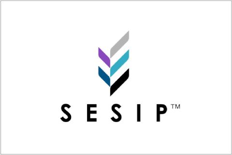 SESIP晶片資安評估