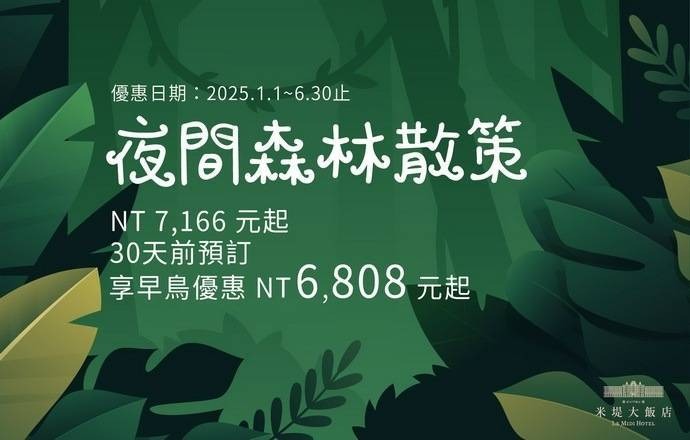 【溪頭米堤】2025夜間森林散策