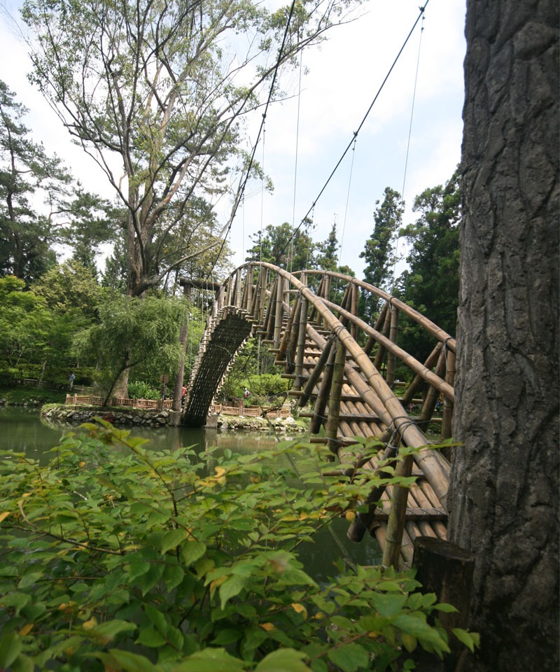 渓頭森林生態旅行