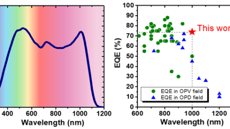 Top-Illuminated Organic Photodetectors beyond 1000 nm Wavelength Response Enabled by a Well-Defined Interfacial Engineering